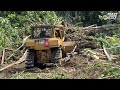 How the Cat D6R XL Bulldozer Works Cleaning Land in Dangerous Areas