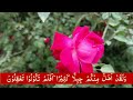 Surah Yasin ( Yaseen ) with Urdu Tarjuma | Quran tilawat | Episode 068 | Quran with Urdu Translation