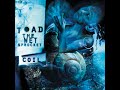 Crazy Life by Toad the Wet Sprocket
