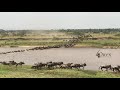 Wildebeest Migration River Crossing, Serengeti National Park