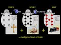 LifepowerVideo   Lenormand Cursus 08 Medaillons