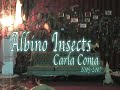 Carla Coma's Albino Insects