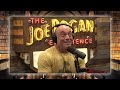 Kamala Harris Is A Woman Of Many Accents | Joe Rogan & Kat Timpf