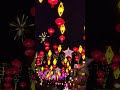 Lunar New Year | Chinese new year #korea #lunarnewyear #ytshorts #malaysia