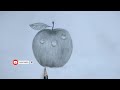 Draw an Apple in 4 Minutes for Beginners! Quick & Easy!