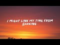 Ramz - Barking (Lyrics) | I might link my ting from Barkin [Slowed Tiktok Remix]
