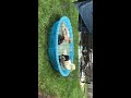 Ducklings’ first bath in the bigger pool