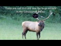 The Elk of Cataloochee, North Carolina