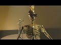 Gang-Plank Galleon Performed by Skeletons [Blender]