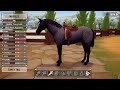 New tack update on Ranch of Rivershine!