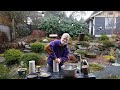 Making Seed Logs for Backyard Birds