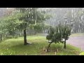 spring rain