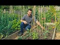 Complete Tour of My Permaculture Kitchen Garden (Packed With Flavours and Colours)