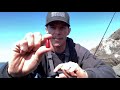 7 Best Rock Fishing Rigs & Jetty Fishing Rigs + Rockfish Tips & Catches