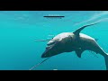 MEGALODON BOSS FIGHT | Stranded Deep (PS4)