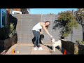 Lockdown Dog Workout at Home | Annie B