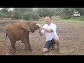 The Most Adorable Elephants 😍 🐘 | BEST Compilation
