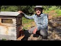 How to give your bees water