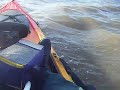 Playing a Smoothhound from the Kayak in New Brighton's Rock Channel