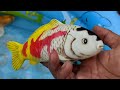 Fishing for Ornamental Fish in the Pond, Koi Fish, Sea Fish, Crocodiles, Real Turtles, Ducks, Frogs