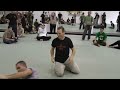 Systema Master Class 2011 - Martin Wheeler