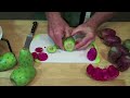 When Is It Ripe? Cactus Pears