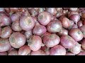 21/05/2022: চরম কমছে পেঁয়াজের দাম। আজকের বাজারে পেঁয়াজ রসুন আলুর পাইকারি দাম কত?Today's onion price