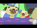 Chip's First Haircut + New Pugadoodle-Do ✂️ Chip and Potato | Netflix Jr