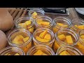 Canuary - Canning Butternut Squash