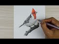 Painting Red Crested Cardinal using Prismacolor pencil