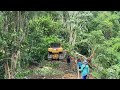 Craze! CAT D6R XL Bulldozer Clears Large Treeed Land