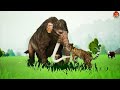 10 Monster Lion vs 10 Giant Dinosaur Fight Cow Cartoon Buffalo Saved By Giant Elephant Gorilla