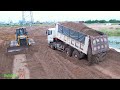 Best Powerful Strong Shantui Heavy! Sand Fill Huge Land Depth Into Water& 20t Dump Trucks dumping