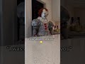 PENNYWISE PRANKS KID! 😂 #pennywise