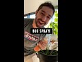 DIY Natural Bug Spray for Plants / Garden | creative explained