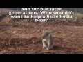 Deforestation Documentary