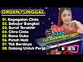 ORGEN TUNGGAL DANGDUT FULL ALBUM H. RHOMA IRAMA TERBAIK 2024