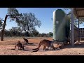 TVAN tour of Outback NSW & Mungo National Park | 50,000 years of history