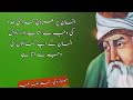 matlabi insan ki 5 nishania .... | molana romi amazing Urdu Quets| Urdu bian| motivational Quotes