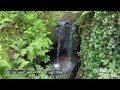 Shanklin Chine | Isle of Wight | England | Shanklin Tourist Attraction | Things To Do In Shanklin
