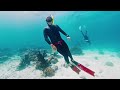 Oases of the Sea 4K ULTRA HD | Amazing Underwater World of the Red Sea