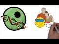 🧬 El ADN y el GENOMA | Explicación científica en 10 minutos 🧬