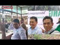 pembibitan kelapasawit proses perawatannya