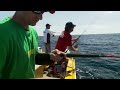 Adventure Bound Classic - Jigging for Kingfish at Norfolk Island