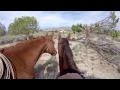 GoPro: Wild Mustangs - A Legacy in 4K