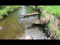Trout Fishing A Tight Quarters Small Stream For Wild Browns (2024) #troutfishing #trout #fishing