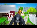 The Great Escape: Zoo Animals' Escape Adventure - Climbing the Long Fence to Freedom