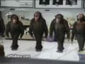 chimps dance to steps - 5 ,6, 7 ,8.wmv