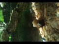 Apple snail brings out penis and trys to hit on zebra snail ;)