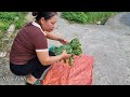 The older sister comes home - Completing the hut railing. Harvest vegetables and beans to sell